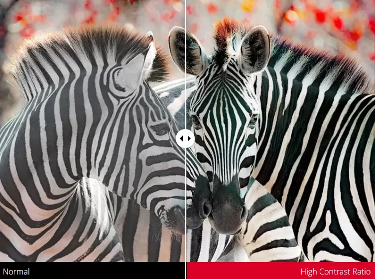 Máy chiếu Led Thông minh Viewsonic X1